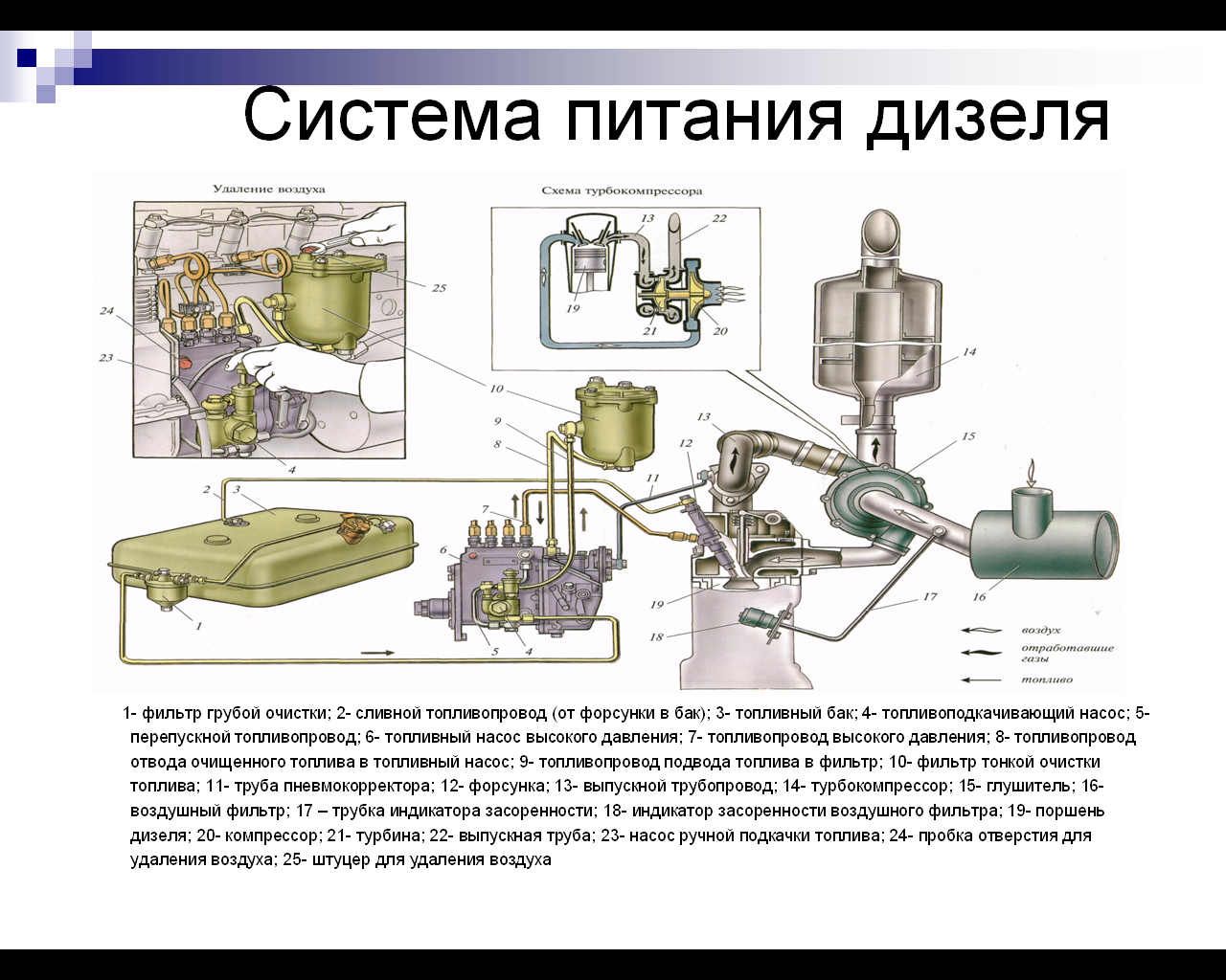 Система питания бензинового (карбюраторного) двигателя топливом
