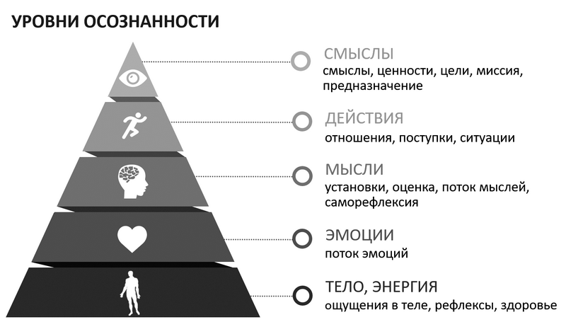 Ipv4 калькулятор подсетей: 94.26.228.97/24 / shootnick.ru