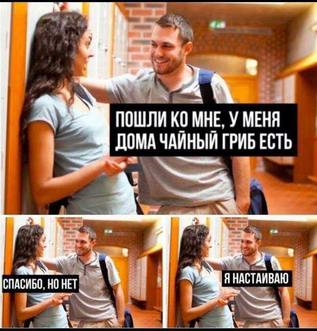 Что делать если пришло письмо счастья от гибдд