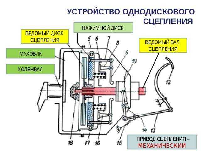 Схема и принцип работы сцепления автомобиля