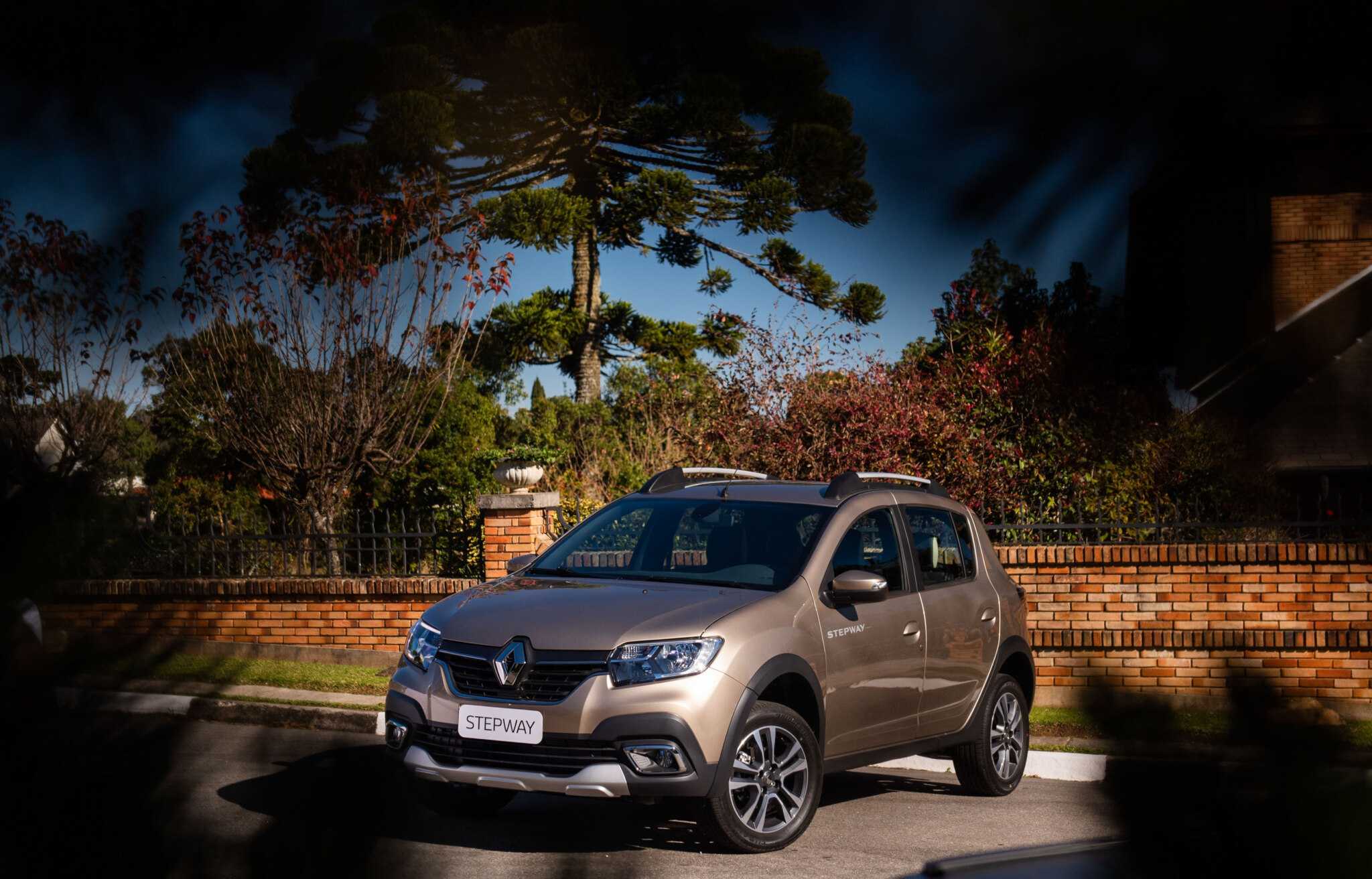 Больные места и недочеты renault sandero stepway