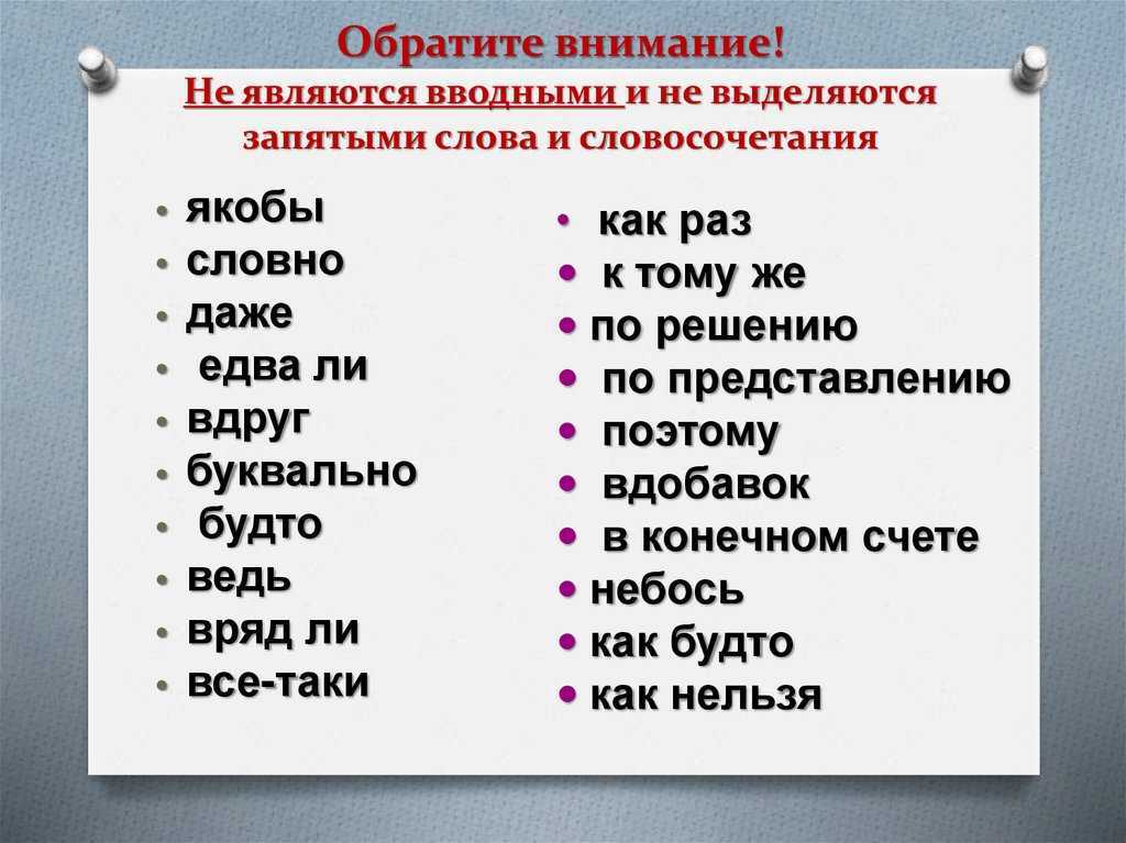 Как инстаграм ранжирует список тех, кто просматривает ваши истории