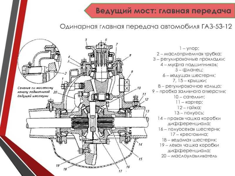 Принцип работы и устройство переднего ведущего моста мтз 82
