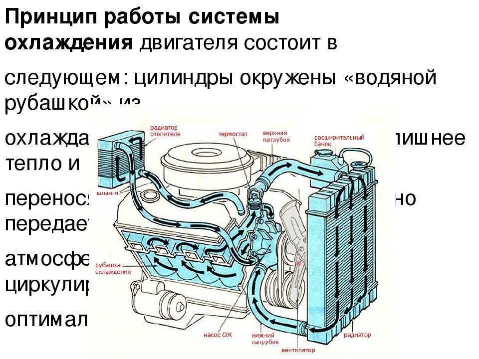 Как проверить идут ли газы в систему охлаждения | автомеханик.ру