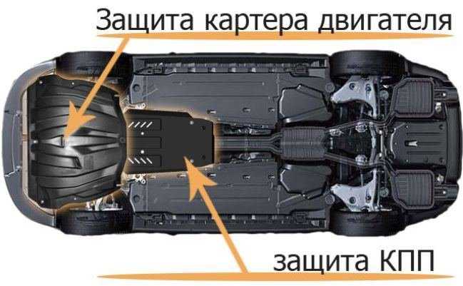Винс картер - биография баскетболиста из нба. фото, видео, успехи в баскетболе vincent lamar carter