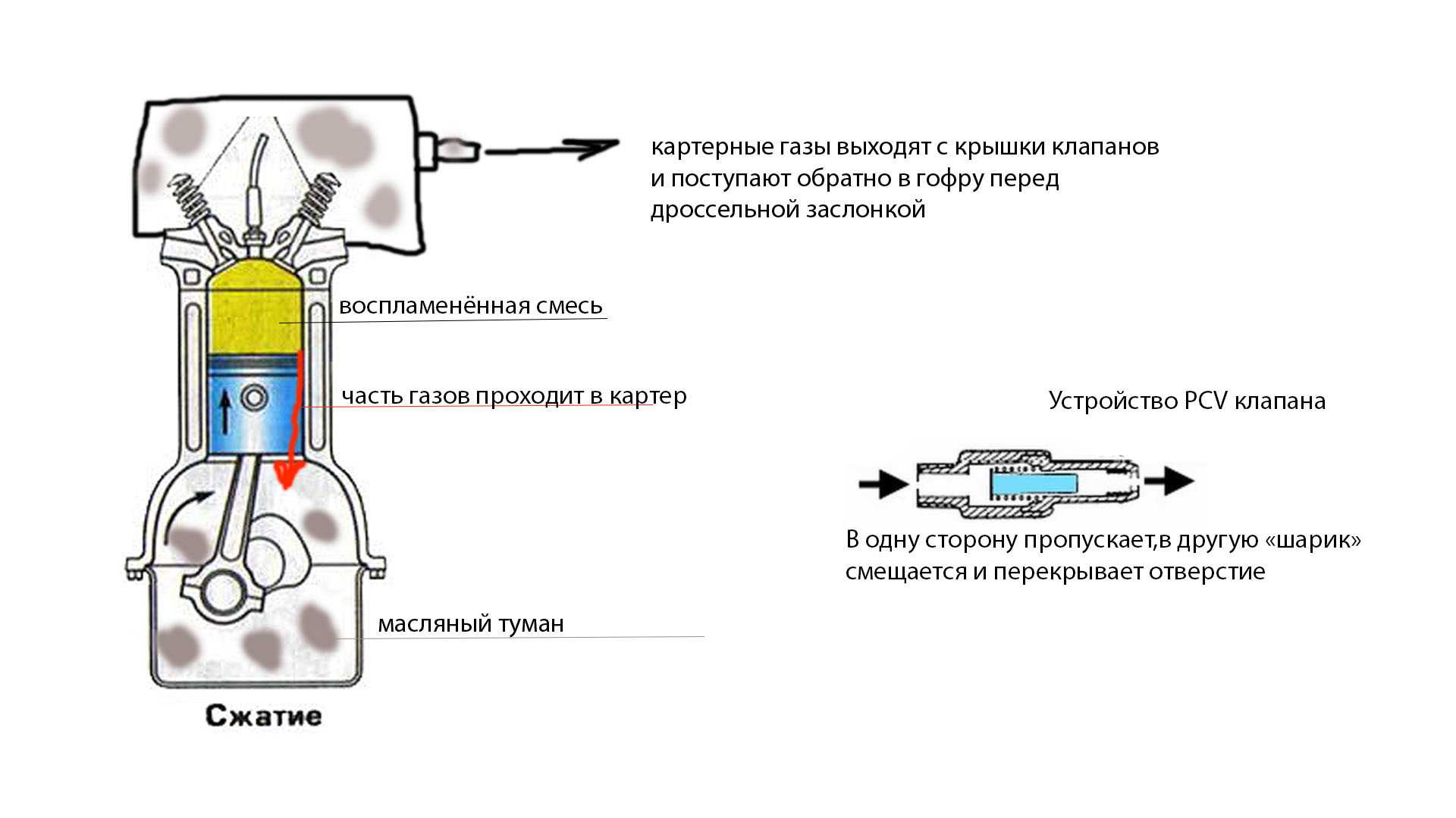 Как работает клапан. Принцип работы клапана вентиляции картерных газов. Клапан вентиляции картерных газов принцип работы устройство. Клапан вентиляции картера принцип работы. Принцип работы клапана картерных газов.