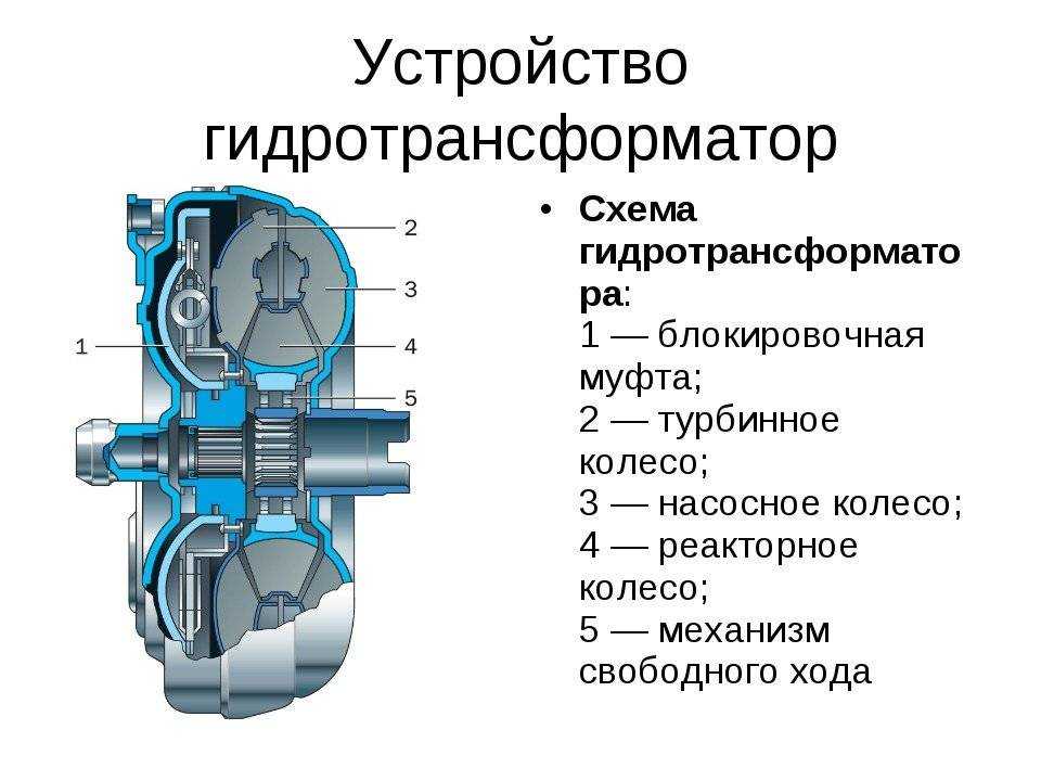 Гидротрансформатор акпп: устройство, принцип работы, ремонт