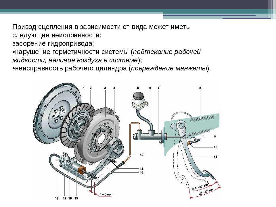 Устройство сцепления принцип работы и основные неисправности