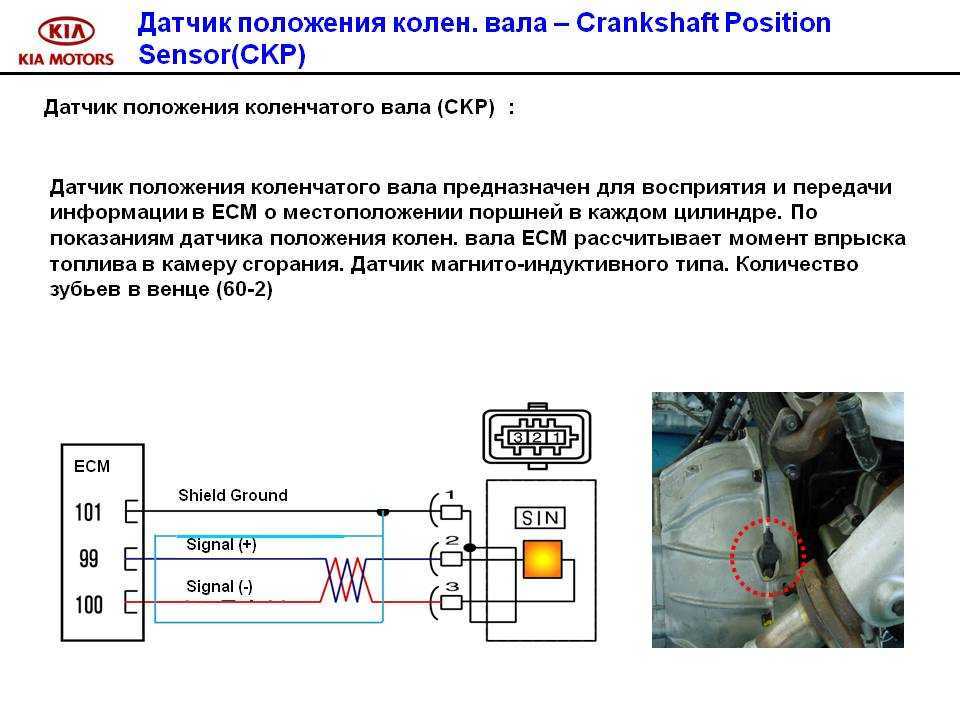 Датчик положения коленчатого вала (дпкв) | autobran | дзен