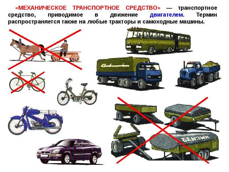 Топ-25 самых надежных коммерческих машин в 2022 году (+ критерии выюора авто)