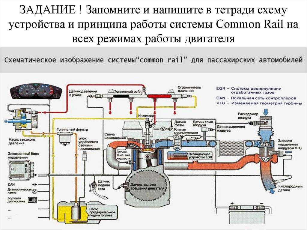 Система управления двигателем | autofizik.ru / авторемонт