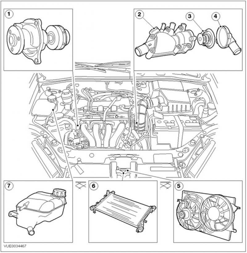 Двигатель форд фокус 3 схема. Система охлаждения Форд фокус 1.8. Система охлаждения двигателя Ford Focus 2. Система охлаждения Форд фокус 1.6. Система охлаждения на Форд фокус 1 1.6 Duratec.