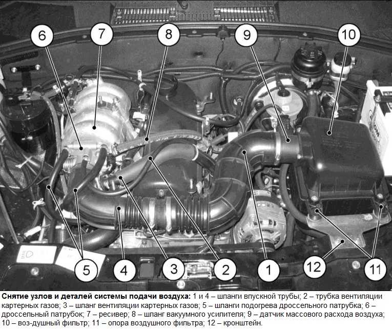 Система двигателя фото. Датчики на Шевроле Нива расположение. Датчики двигателя на Шеви Нива. Шевроле Нива ВАЗ 2123 двигатель датчик. Датчик спереди двигателя Нива Шевроле.