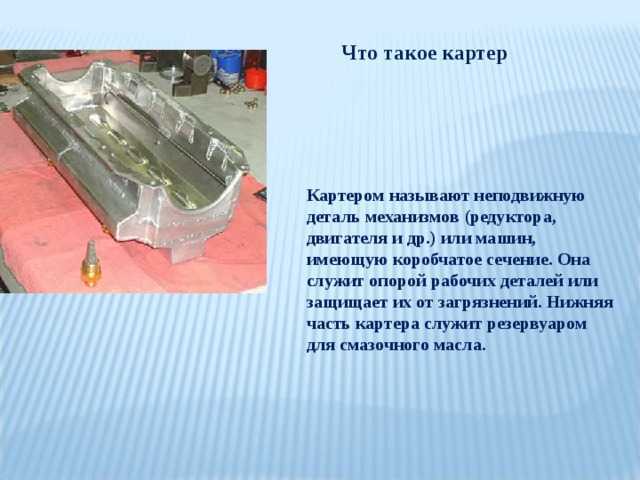 Ходячие мертвецы вики